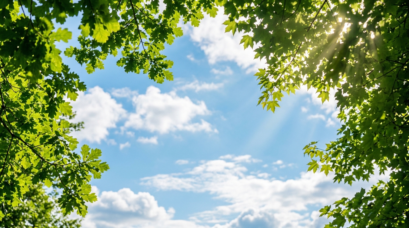 Solar sky background